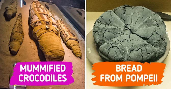 17 Artifacts That Prove Museums Are Full of Treasures