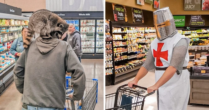 19 People Who Went to Do Their Weekly Shopping but Ended Up Discovering a World of New Experiences
